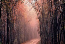 [图]德甲-勒沃库森主场3-0完胜拜仁 5分优势领跑.