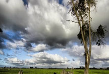 库明加休战 穆迪又活了！近两场19中11砍了30分.