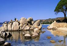 詹姆斯谈大帽申京：我很了解球员的习惯 那就是一次对他的解读.